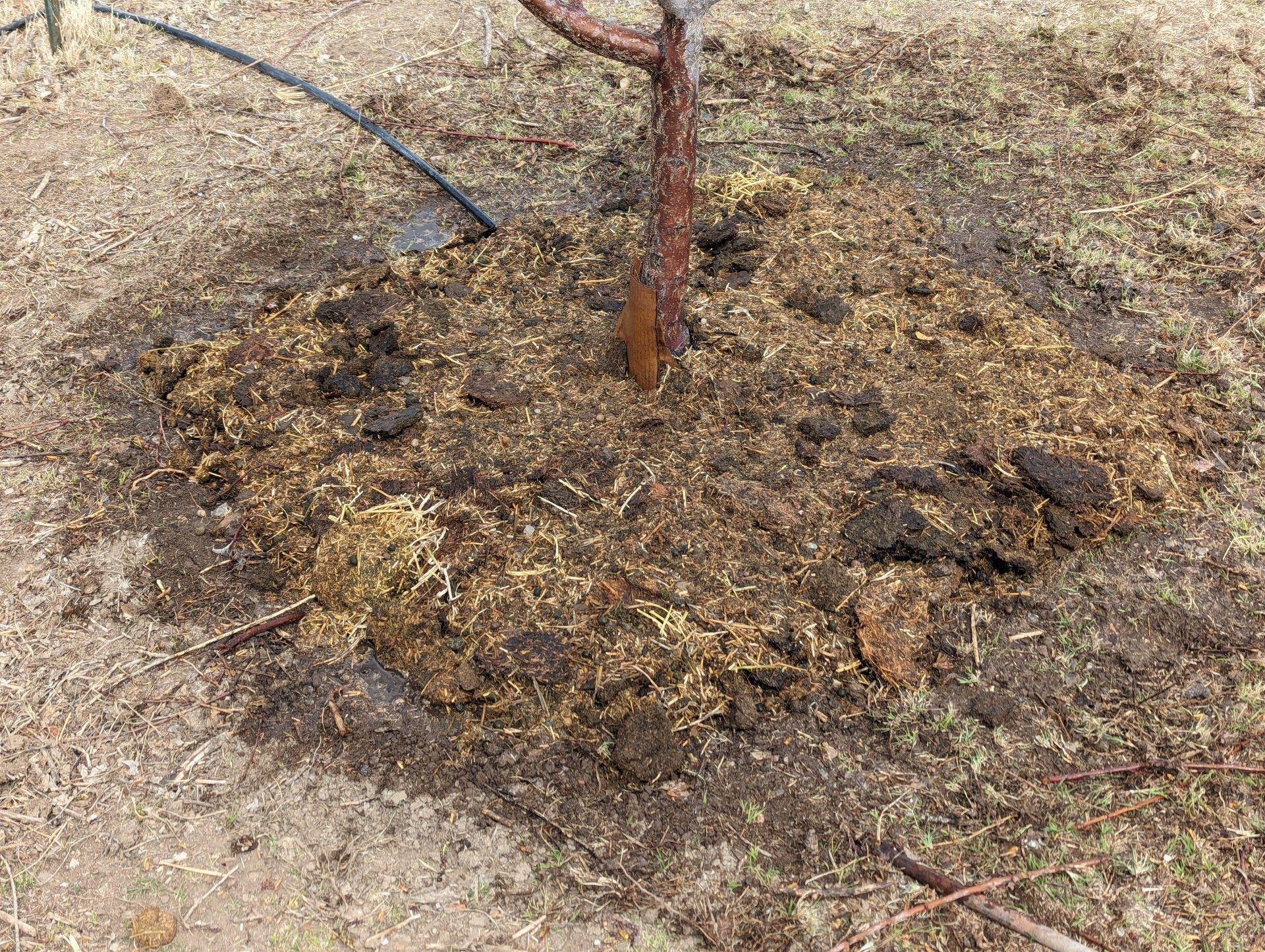 Revamping our Orchard Irrigation